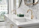 Brizo Luxe Gold 2-3/4 x 3-39/64 in. Bathroom Sink Drain 