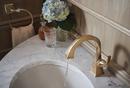 Brizo Luxe Gold 2-3/4 x 3-39/64 in. Bathroom Sink Drain 
