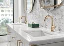Brizo Luxe Gold 2-3/4 x 3-39/64 in. Bathroom Sink Drain 
