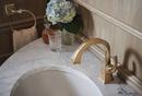 Brizo Luxe Gold 2-3/4 x 3-39/64 in. Bathroom Sink Drain 