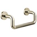 Brizo Polished Nickel 8 in. Towel Bar 