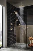 Brizo Polished Nickel Jointed Shower Arm and Flange 