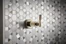 Brizo Polished Nickel Tub and Shower Volume Control Valve Trim with Single Industrial Lever Handle 