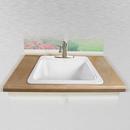 Commercial Enameling White 5-Hole Undermount Laundry Tray 