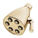 Speakman Polished Brass Multi Function Flood, Full and Rain Showerhead 