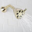 Speakman Polished Brass Multi Function Flood, Full and Rain Showerhead 