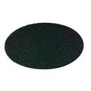 20 in. Black Stripping Pad (Case of 5)