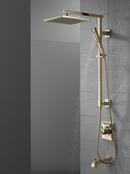 Delta Faucet Brilliance&reg; Polished Nickel Multi Function Hand Shower 
