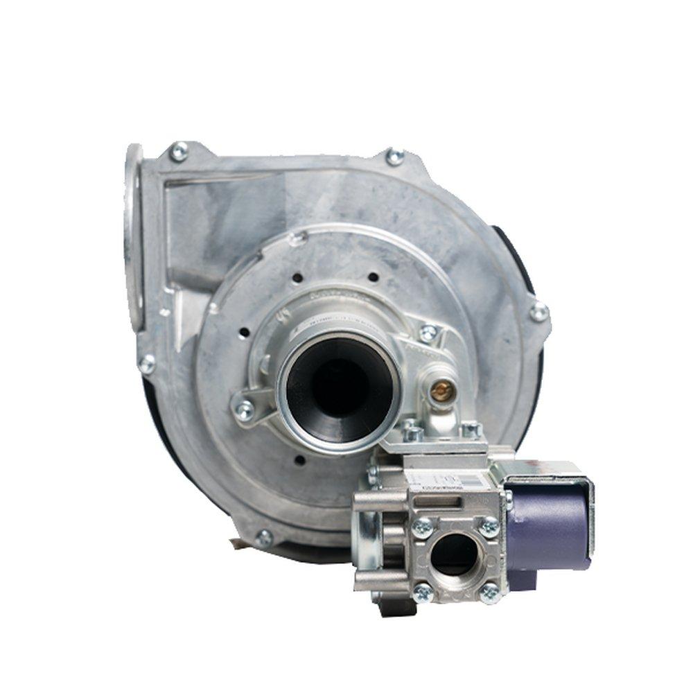 Bradford White Natural Gas Valve Assembly 
