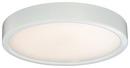 25W 1-Light Flush Mount Ceiling Fixture in White