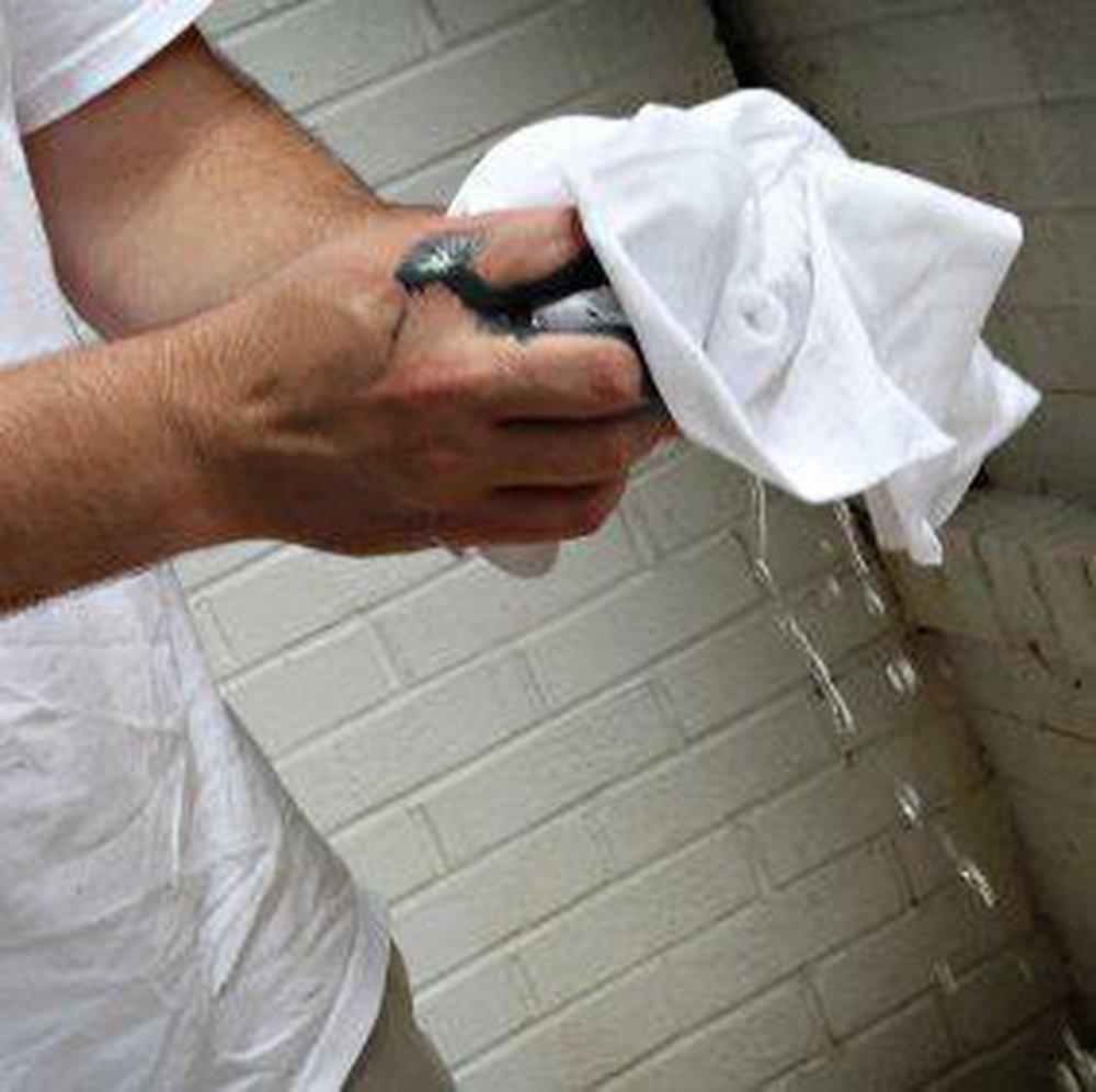 Trimaco White 25 lb. Cotton Knit Rag 