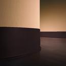 Roppe Corporation Brown 120 ft. x 4 in. Vinyl Laminate Dryback Wall Cove Base 