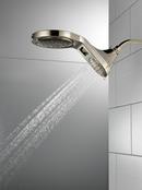 Delta Faucet Brilliance Polished Nickel Multi Function Hand Shower 