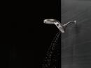Delta Faucet Brilliance Stainless Multi Function Full Body, Full Spray w/ Massage, Massaging, Pause and Shampoo Rinsing Showerhead 