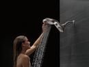 Delta Faucet Brilliance Stainless Multi Function Full Body, Full Spray w/ Massage, Massaging, Pause and Shampoo Rinsing Showerhead 