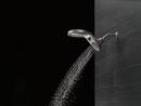 Delta Faucet Brilliance Stainless Multi Function Full Body, Full Spray w/ Massage, Massaging, Pause and Shampoo Rinsing Showerhead 