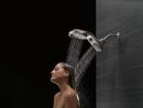 Delta Faucet Brilliance Stainless Multi Function Full Body, Full Spray w/ Massage, Massaging, Pause and Shampoo Rinsing Showerhead 