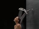 Delta Faucet Brilliance Stainless Multi Function Full Body, Full Spray w/ Massage, Massaging, Pause and Shampoo Rinsing Showerhead 
