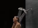 Delta Faucet Brilliance Stainless Multi Function Full Body, Full Spray w/ Massage, Massaging, Pause and Shampoo Rinsing Showerhead 