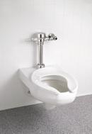 Delta Faucet Chrome Exposed Closet Flush Valve 