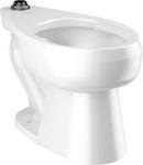 Sloan Valve White Elongated Toilet Bowl 