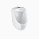 Small Washdown Urinal 
