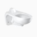 Sloan White 1.28 gpf Elongated Wall Mount One Piece Toilet 