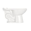Zurn White Elongated Toilet Bowl 