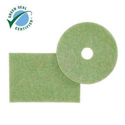 17 in. Scrubbing Pad in Green (Case of 5)