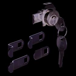 Mailbox Lock in Metallic