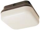 13W 2-Light Outdoor Ceiling Fixture with White Glass in Black