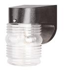 1-Light 60W Exterior Wall Sconce with Clear Glass in Black