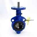 ABZ Manufacturing Cast Iron Flanged EPDM and Teflon Bare Stem Butterfly Valve 