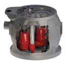 Liberty Pumps Grey 115V Single Phase Cast Iron Duplex Sewage Pump System 