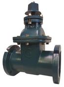 Crispin-Multiplex Ductile Iron Full Port Flanged Gate Valve 