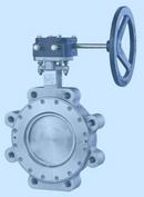 24 in. Carbon Steel Flanged Lug Gear Operator Butterfly Valve