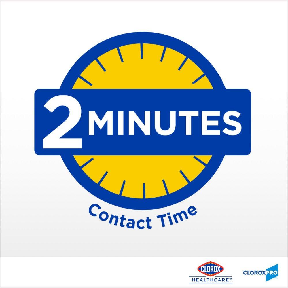 Clorox Cleaner Disinfectant (Case of 9) 