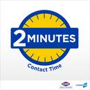 Clorox Cleaner Disinfectant (Case of 9) 