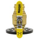 Webstone a brand of NIBCO Ball Valve with Rotating Flange 