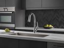 Delta Faucet Arctic Stainless Single Handle Pull Down Kitchen Faucet 