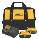 DEWALT Black Lithium-Ion Starter Kit with Premium Battery Pack 