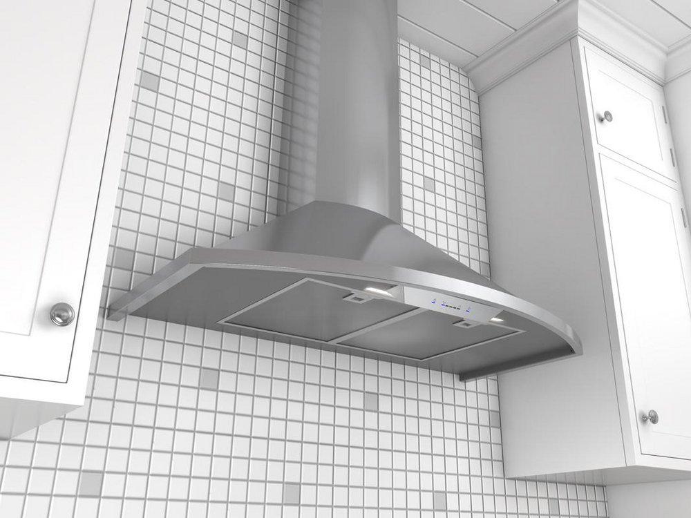 Zephyr Stainless Steel Wall Mount Range Hood in Stainless Steel 