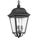 Progress Lighting Black 60W 3-Light Candelabra E-12 Incandescent Outdoor Pendant 