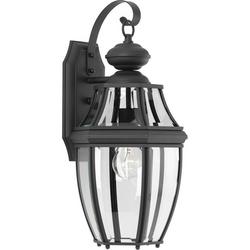 100W 1-Light Incandescent Outdoor Wall Sconce in Black