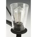 Progress Lighting Graphite 6-Light 60W Medium E-26 Incandescent Chandelier 