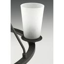 Progress Lighting Graphite 6-Light 60W Medium E-26 Incandescent Chandelier 