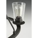 Progress Lighting Graphite 6-Light 60W Medium E-26 Incandescent Chandelier 