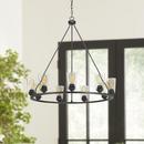 Progress Lighting Graphite 9-Light 60W Medium E-26 Incandescent Chandelier 