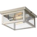 60W 2-Light Medium E-26 Incandescent Ceiling Light with Clear Flat Glass in Stainless Steel