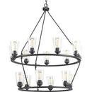 Progress Lighting Graphite 36 in. 60W 15-Light Medium E-26 Incandescent Chandelier 